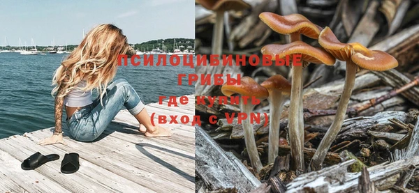 дурь Баксан