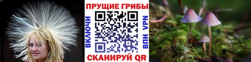 Галлюциногенные грибы ЛСД  shop клад  Бокситогорск  где можно купить наркотик  kraken как войти 