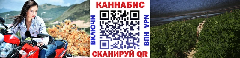 OMG маркетплейс  дарнет шоп  Бокситогорск  Бошки марихуана конопля 